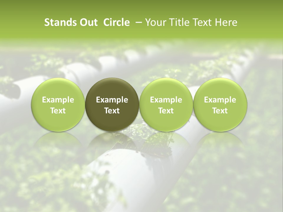 Plant Color Vitamins PowerPoint Template