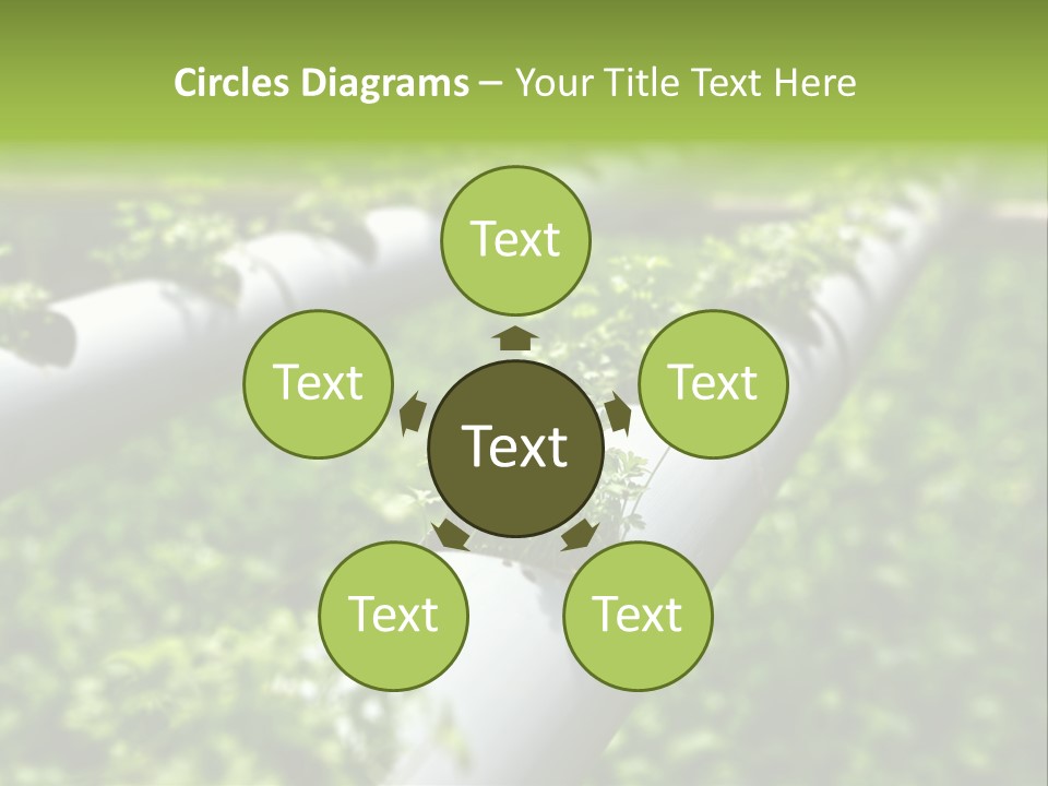 Plant Color Vitamins PowerPoint Template