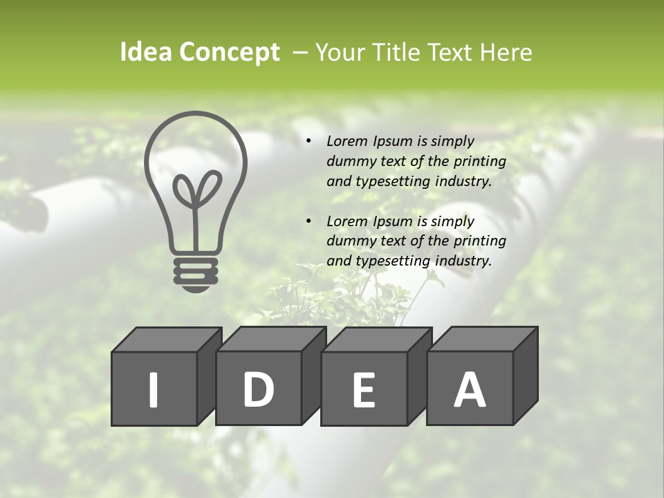 Plant Color Vitamins PowerPoint Template