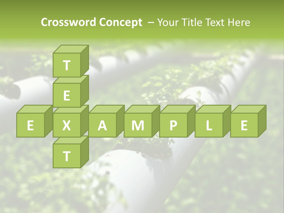 Plant Color Vitamins PowerPoint Template