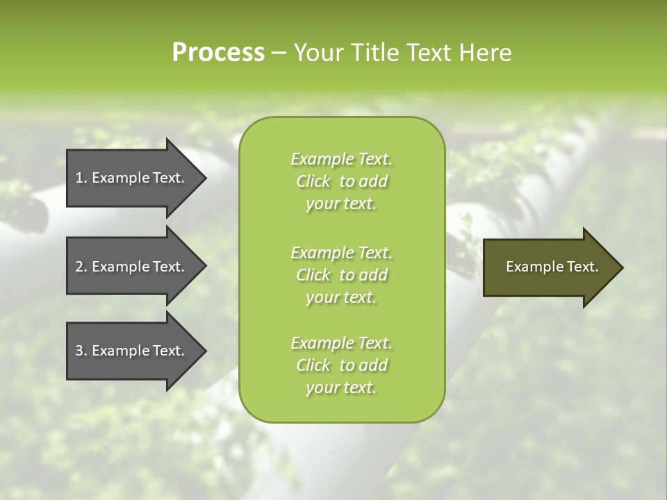 Plant Color Vitamins PowerPoint Template
