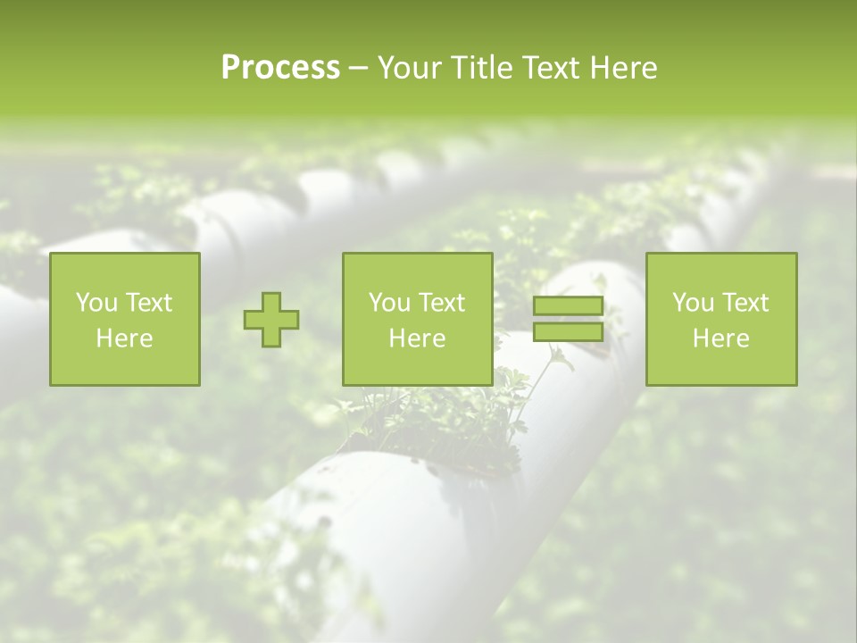 Plant Color Vitamins PowerPoint Template