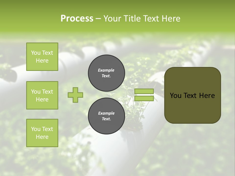 Plant Color Vitamins PowerPoint Template