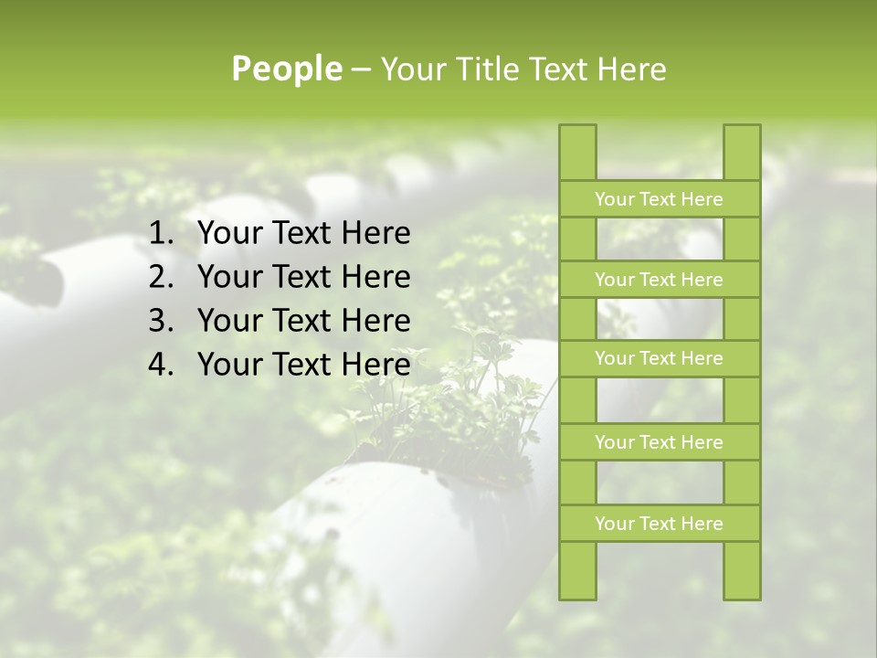 Plant Color Vitamins PowerPoint Template