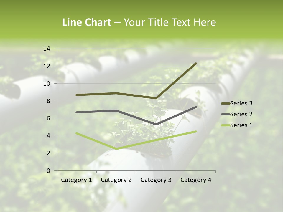 Plant Color Vitamins PowerPoint Template