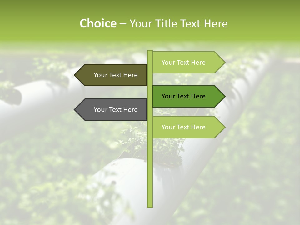 Plant Color Vitamins PowerPoint Template