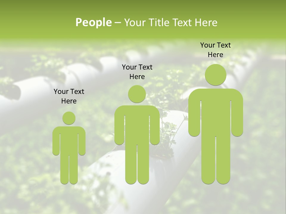 Plant Color Vitamins PowerPoint Template