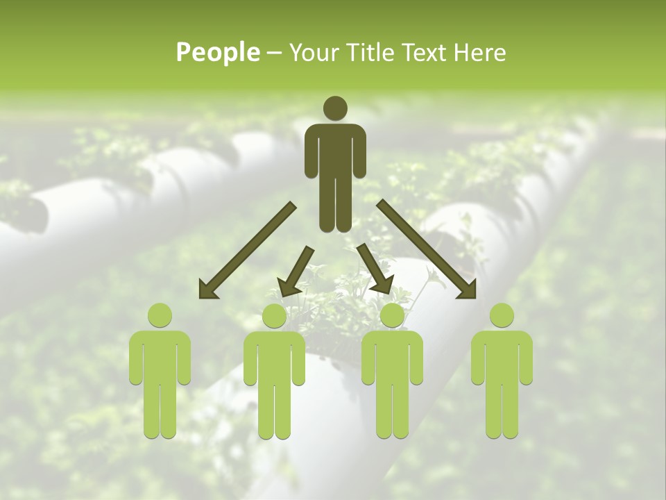 Plant Color Vitamins PowerPoint Template