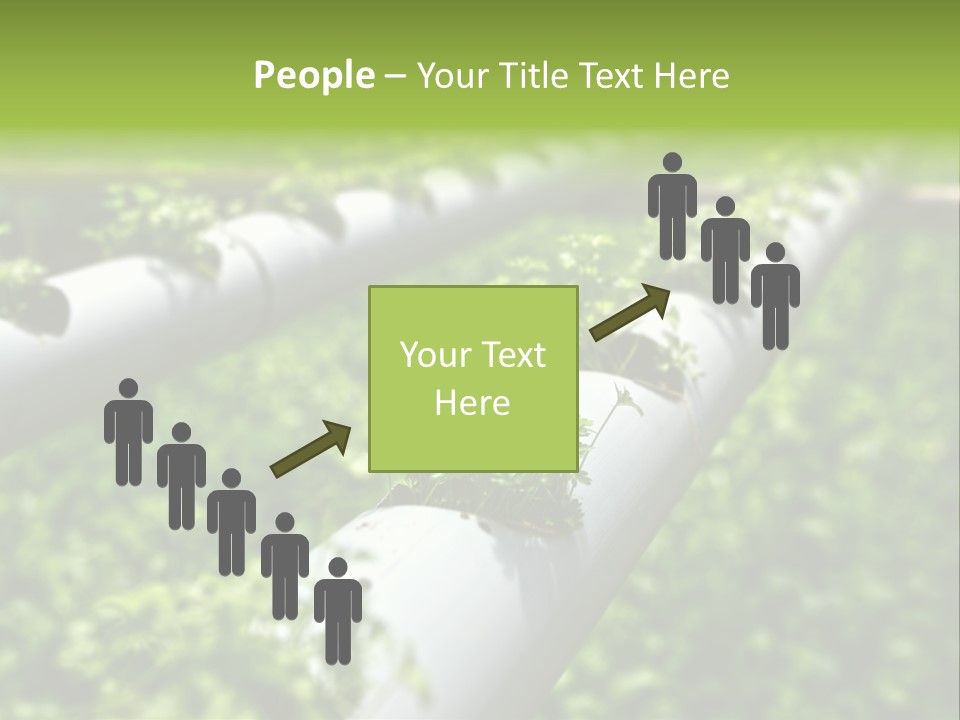 Plant Color Vitamins PowerPoint Template