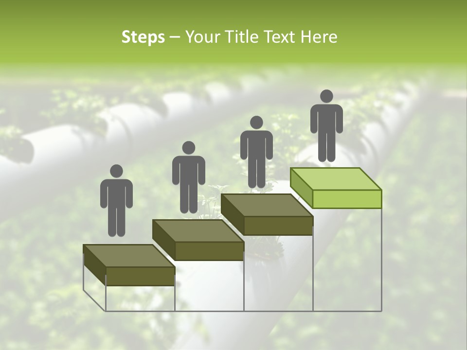 Plant Color Vitamins PowerPoint Template