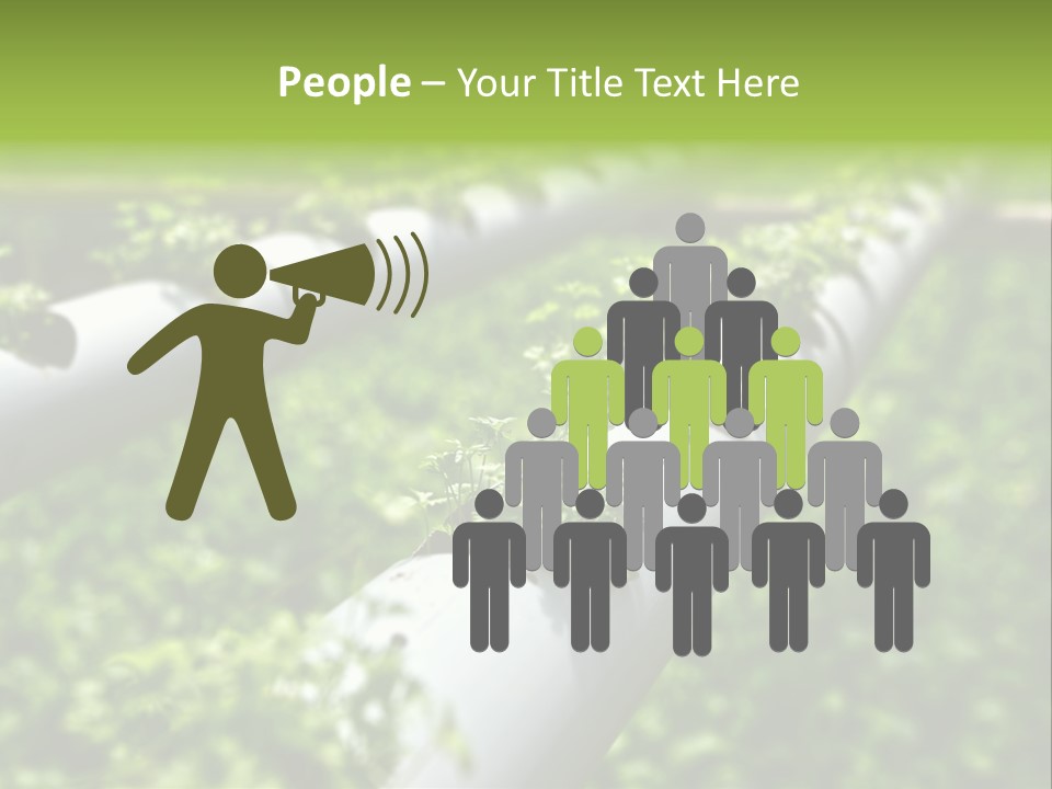 Plant Color Vitamins PowerPoint Template