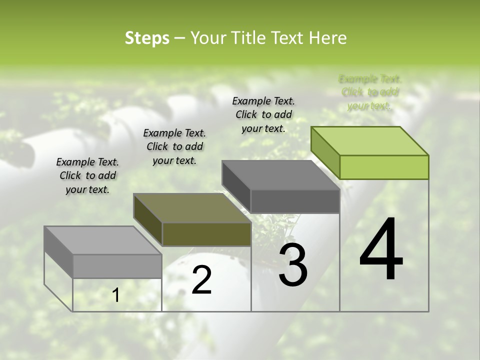 Plant Color Vitamins PowerPoint Template