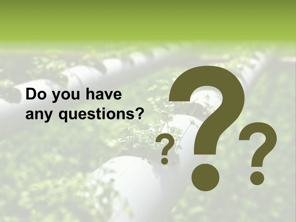 Plant Color Vitamins PowerPoint Template