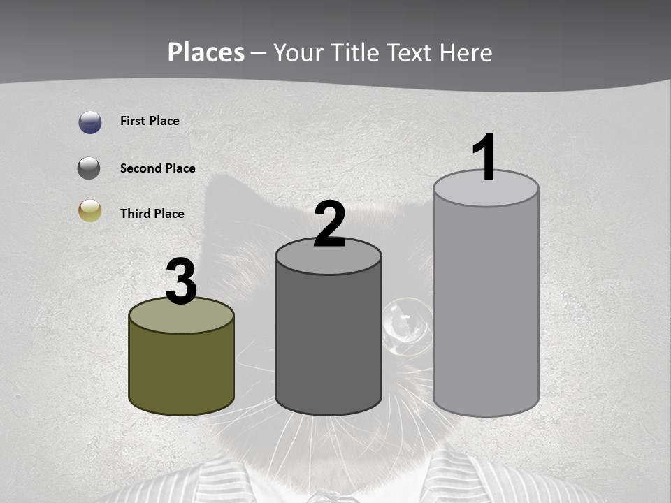 Studio Kitten Feline PowerPoint Template