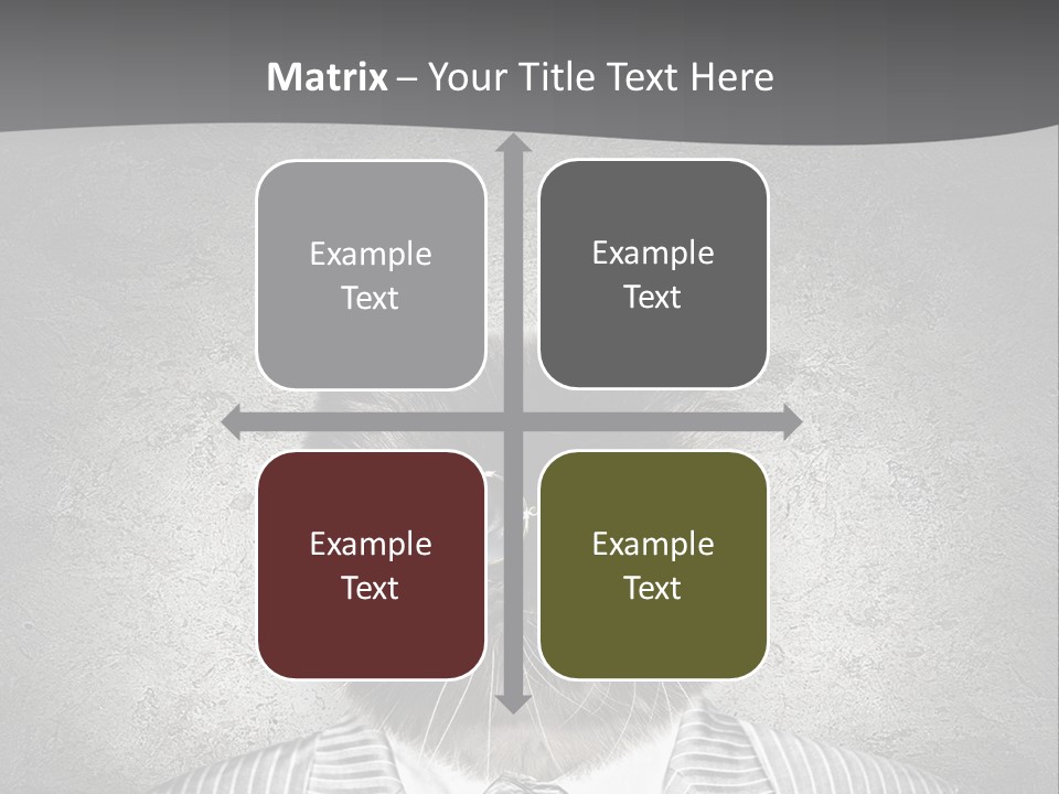 Studio Kitten Feline PowerPoint Template