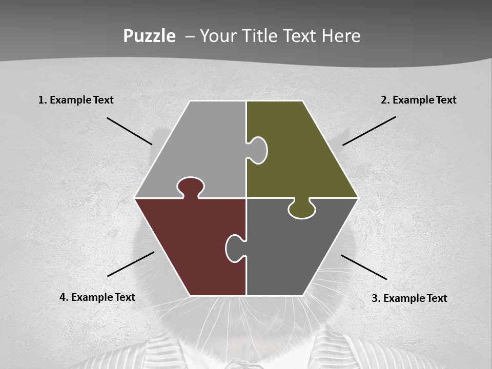 Studio Kitten Feline PowerPoint Template