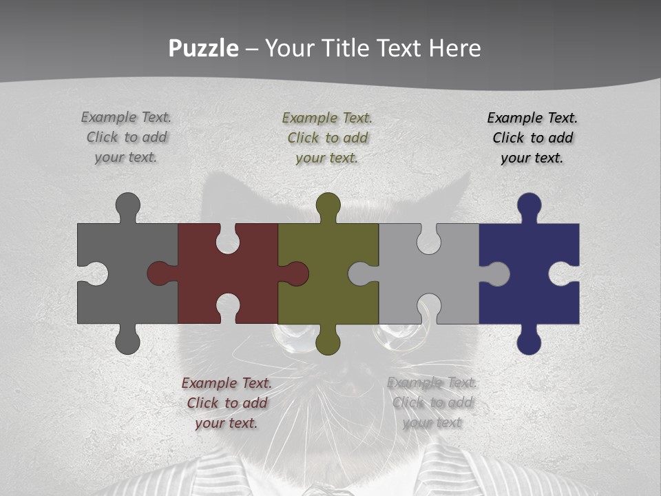 Studio Kitten Feline PowerPoint Template