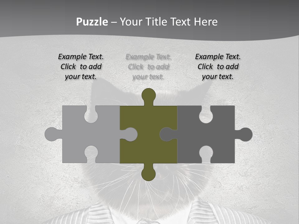 Studio Kitten Feline PowerPoint Template