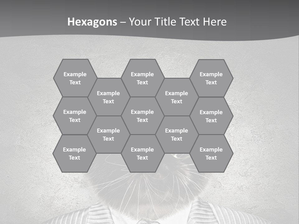 Studio Kitten Feline PowerPoint Template