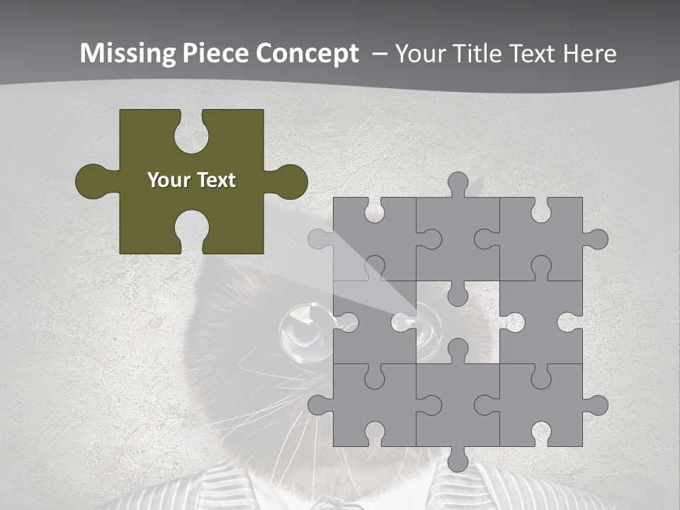 Studio Kitten Feline PowerPoint Template