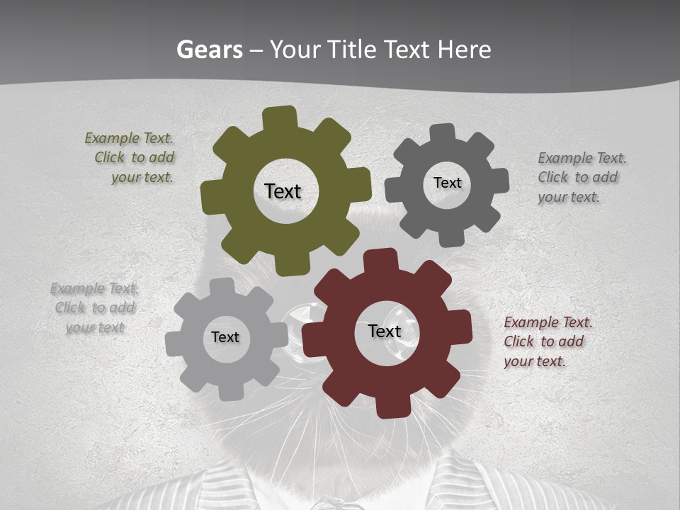 Studio Kitten Feline PowerPoint Template