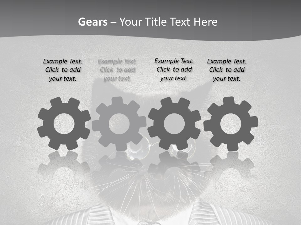 Studio Kitten Feline PowerPoint Template