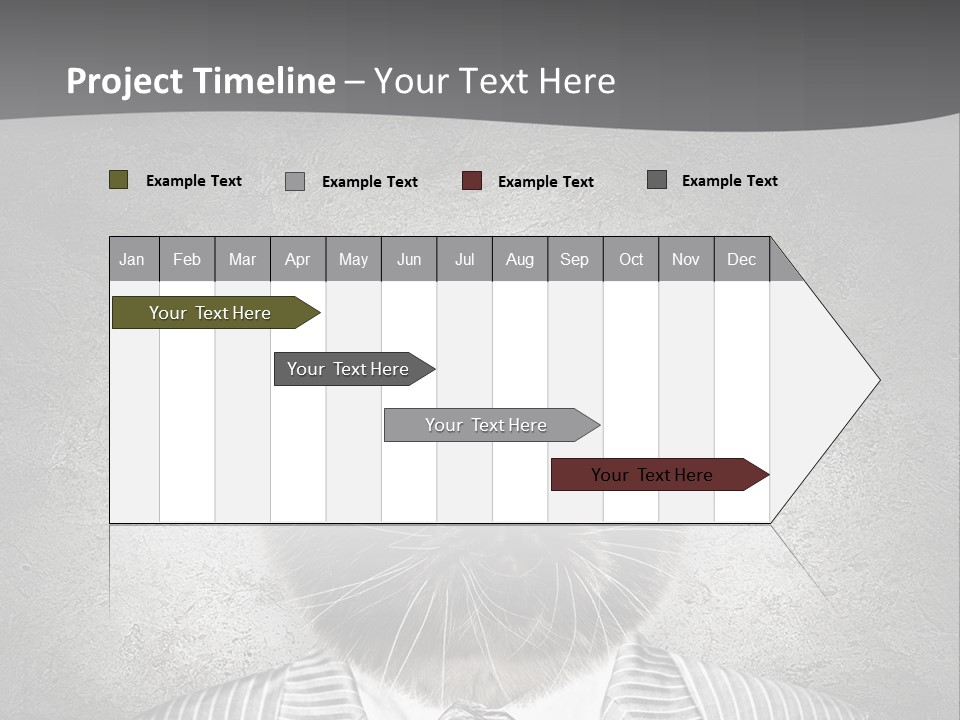 Studio Kitten Feline PowerPoint Template