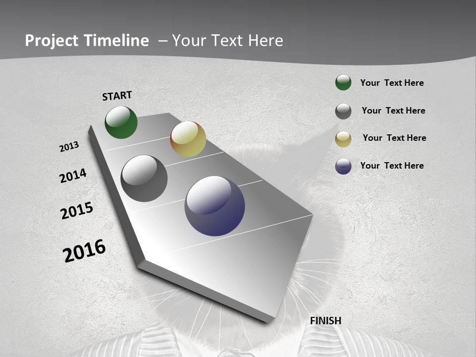 Studio Kitten Feline PowerPoint Template