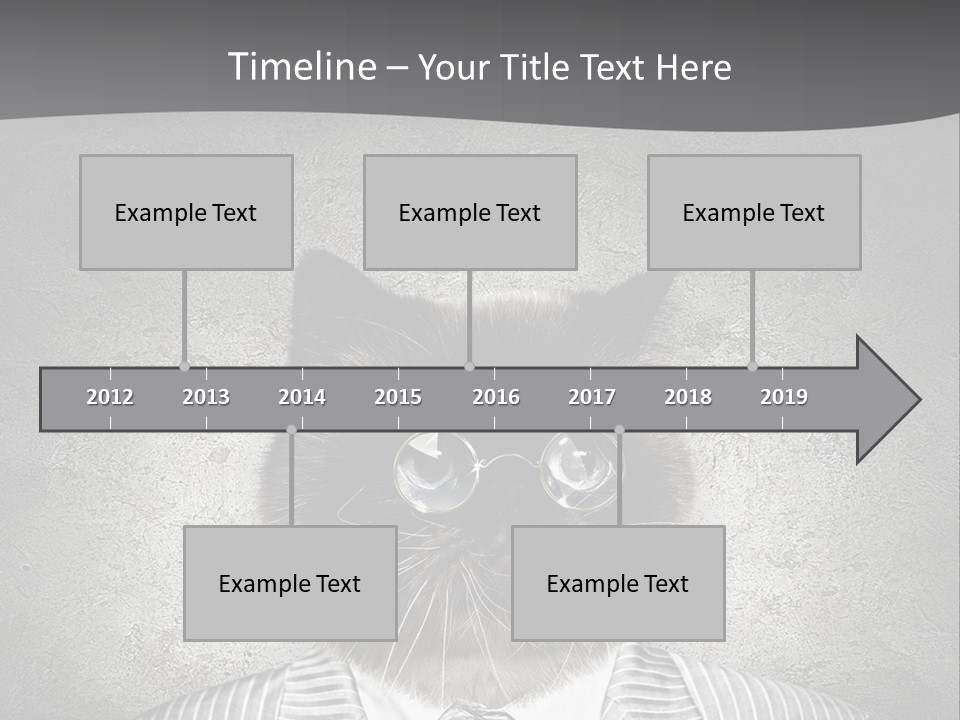 Studio Kitten Feline PowerPoint Template