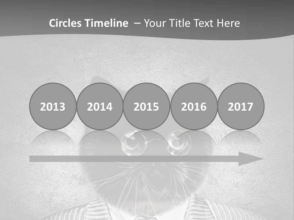 Studio Kitten Feline PowerPoint Template