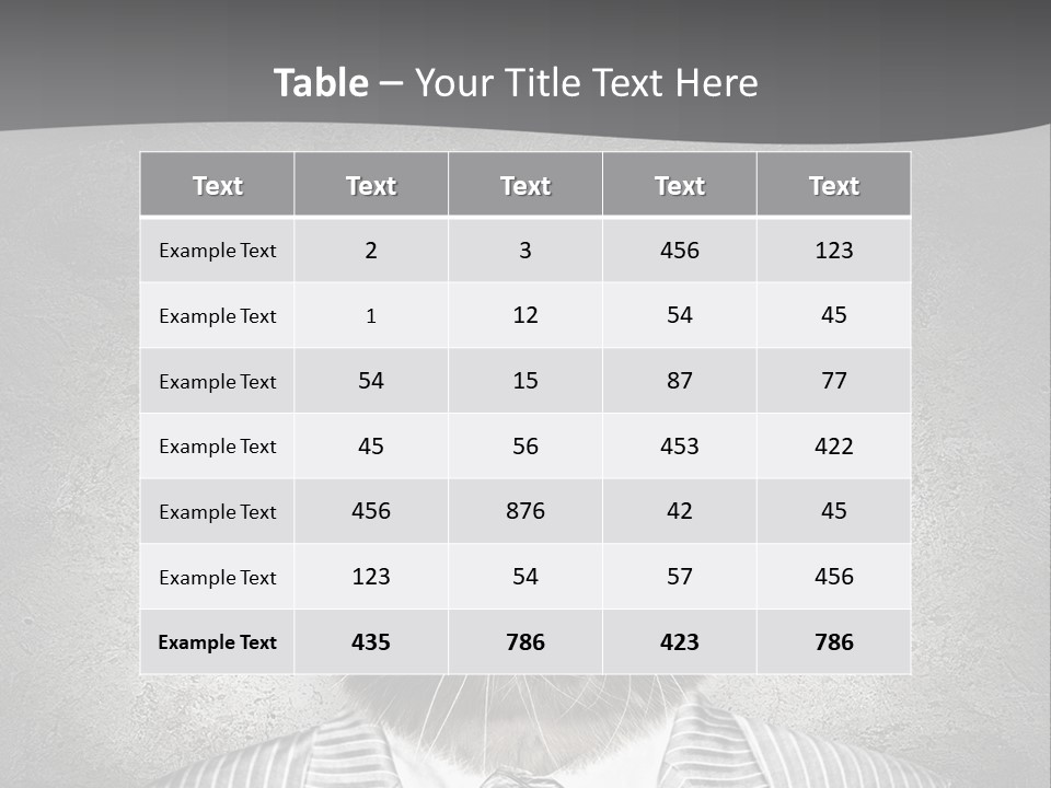 Studio Kitten Feline PowerPoint Template