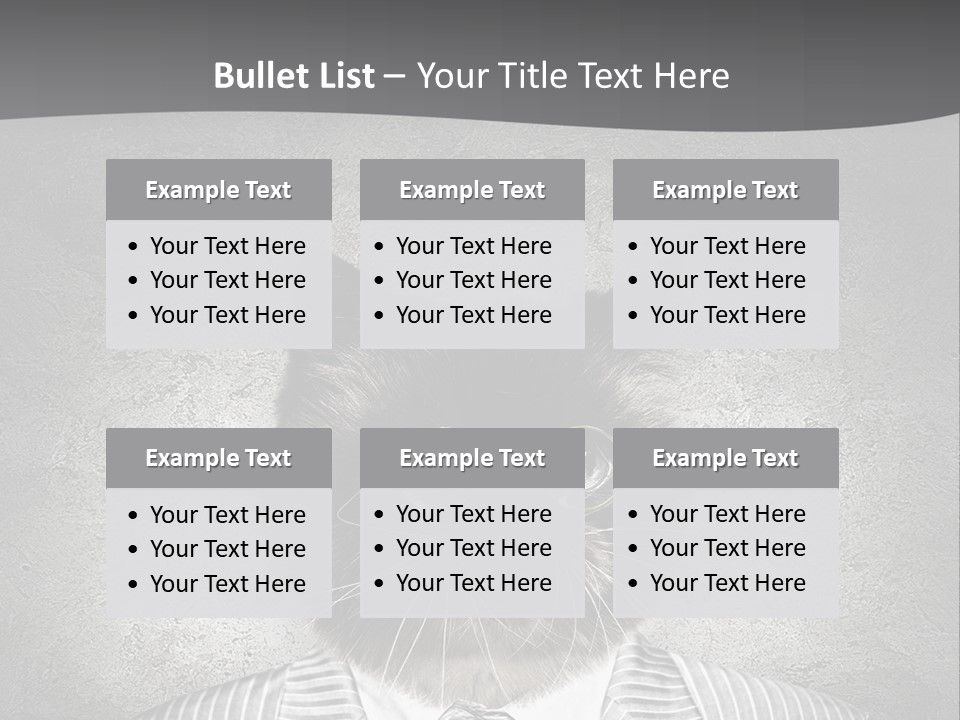 Studio Kitten Feline PowerPoint Template