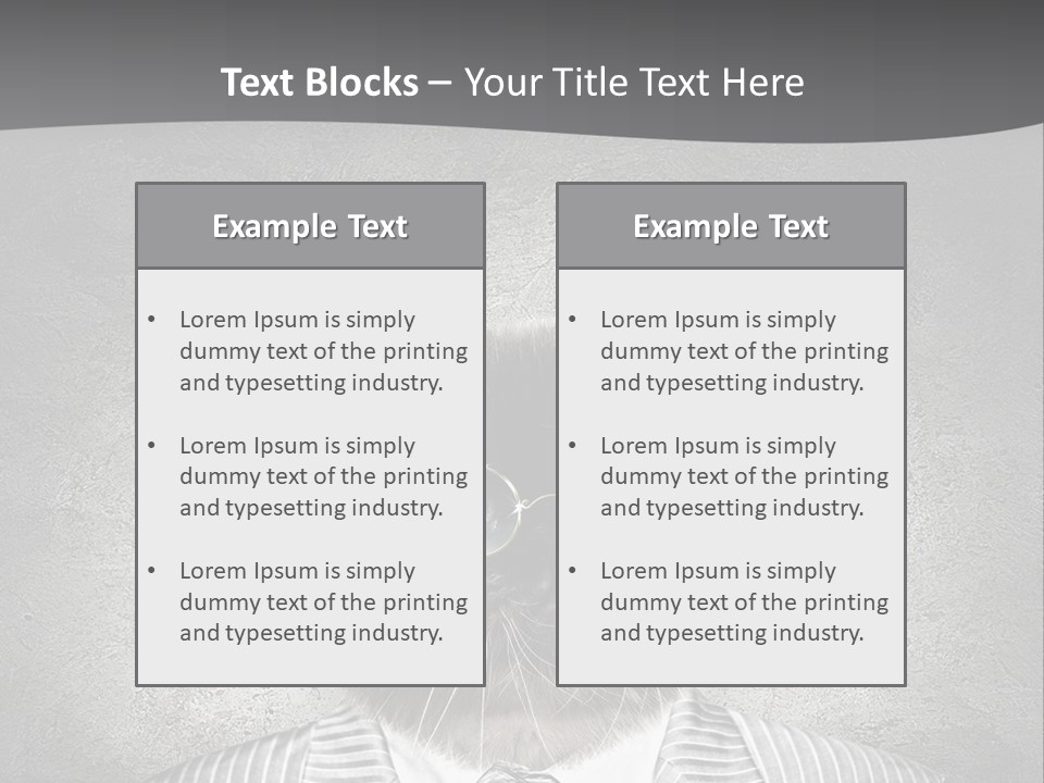 Studio Kitten Feline PowerPoint Template