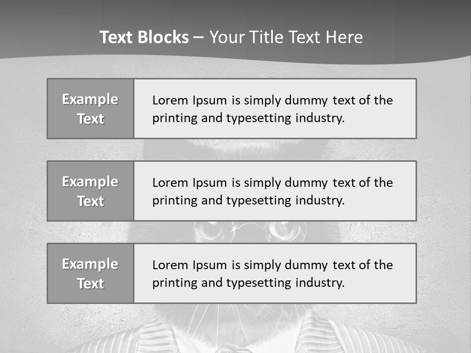 Studio Kitten Feline PowerPoint Template