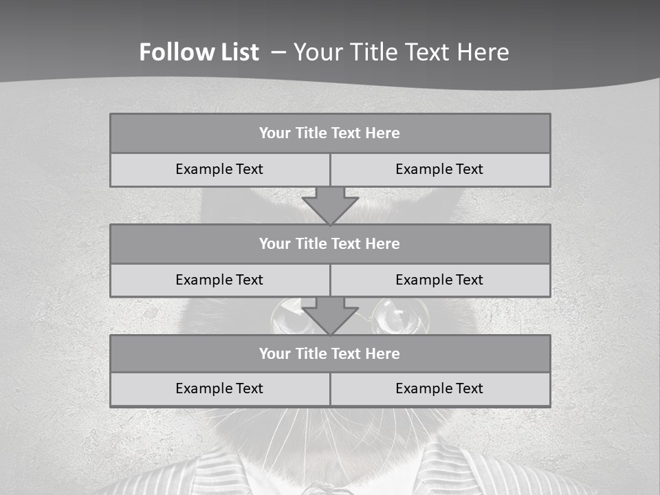 Studio Kitten Feline PowerPoint Template