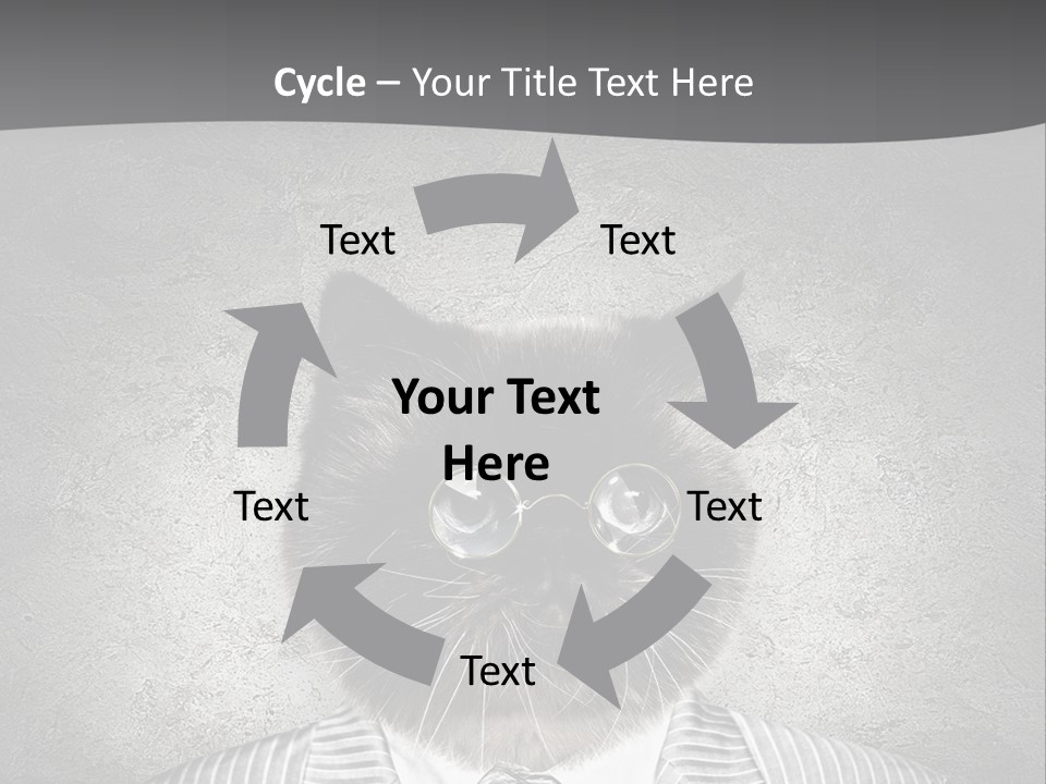 Studio Kitten Feline PowerPoint Template