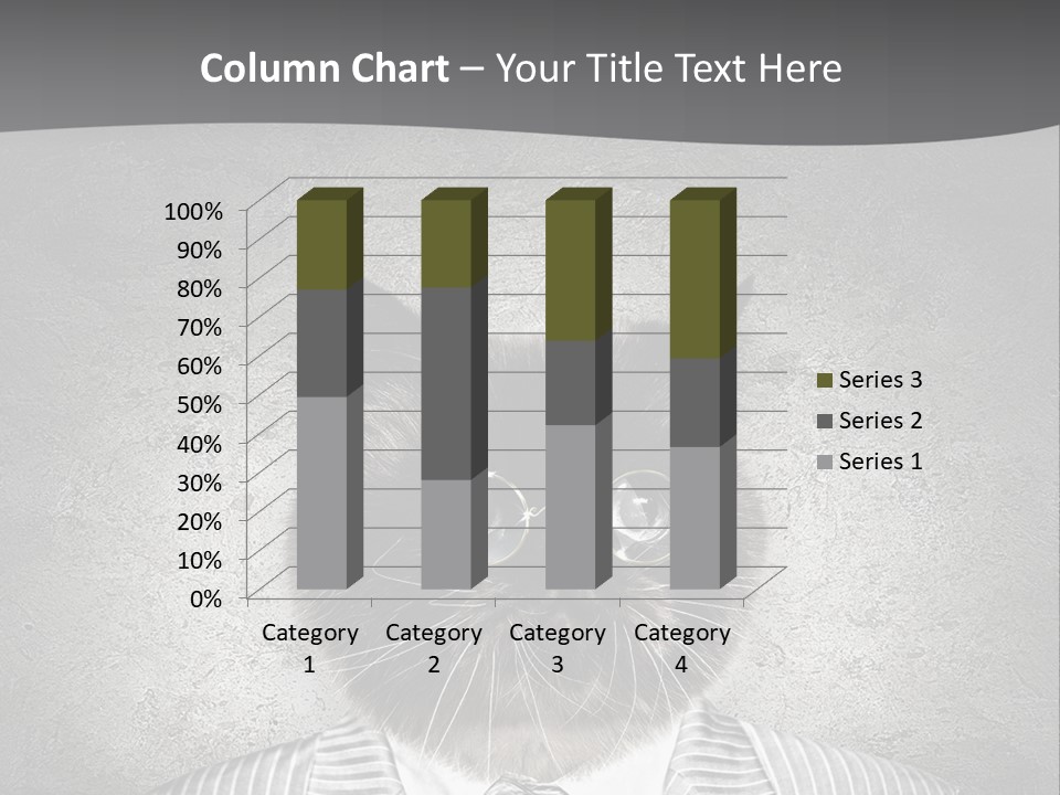 Studio Kitten Feline PowerPoint Template