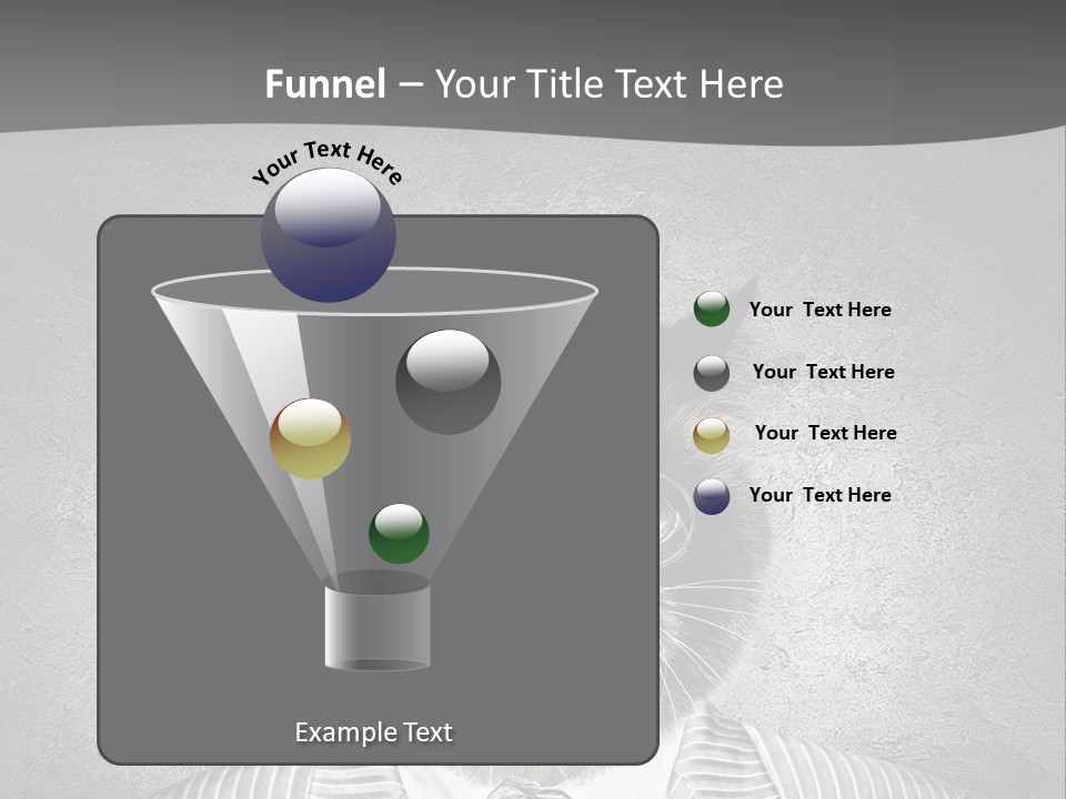 Studio Kitten Feline PowerPoint Template