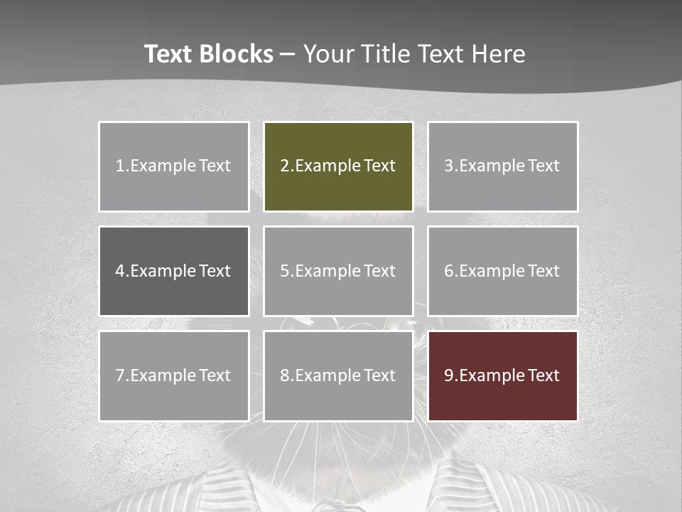 Studio Kitten Feline PowerPoint Template