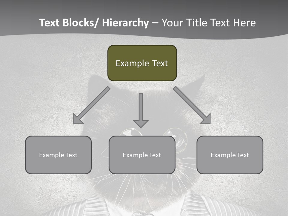 Studio Kitten Feline PowerPoint Template