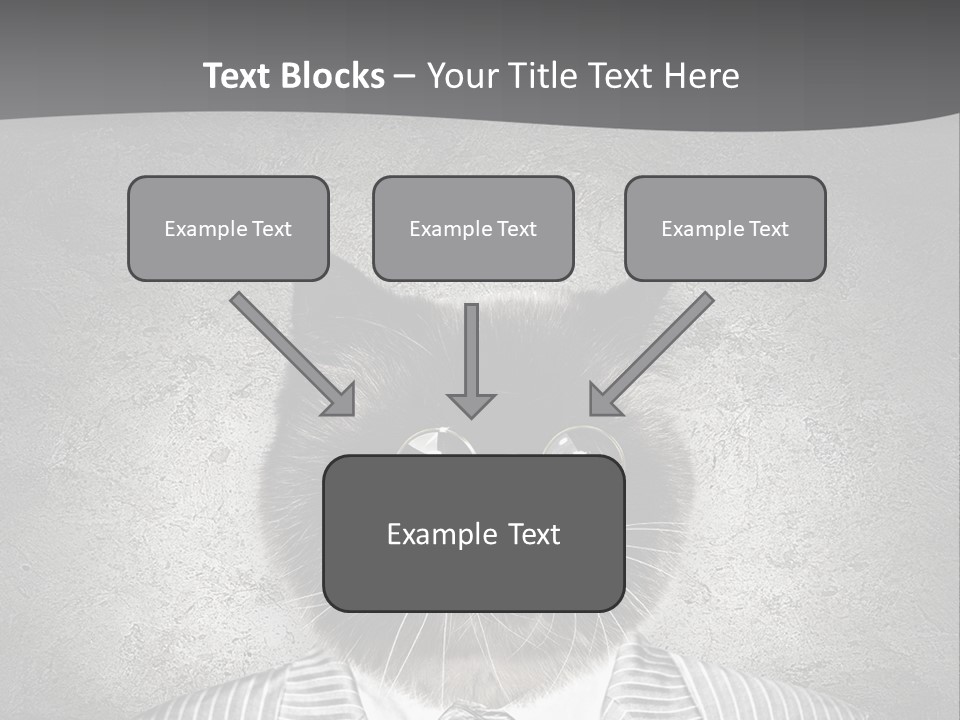 Studio Kitten Feline PowerPoint Template