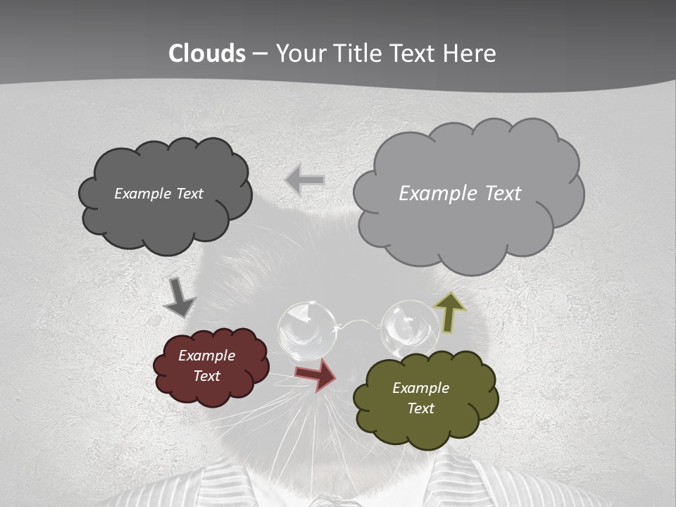 Studio Kitten Feline PowerPoint Template