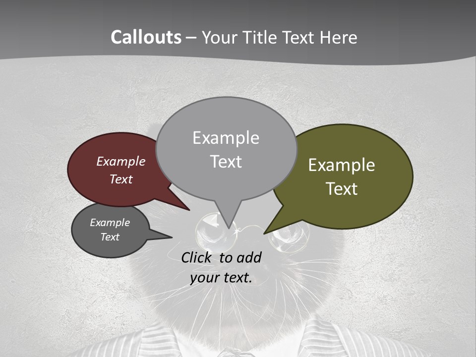 Studio Kitten Feline PowerPoint Template