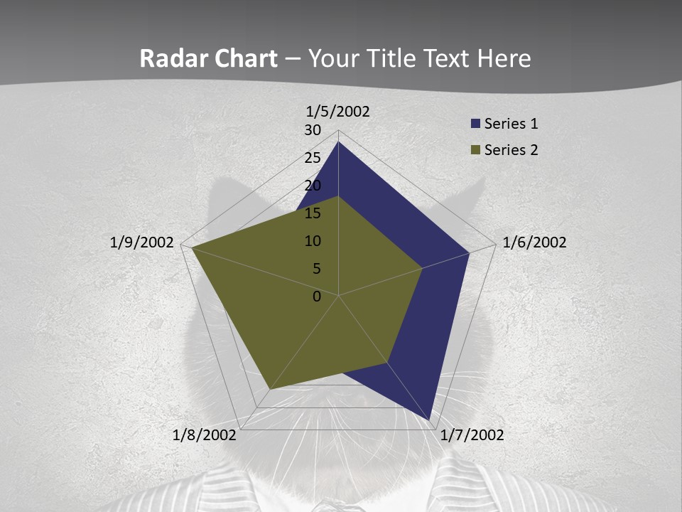 Studio Kitten Feline PowerPoint Template