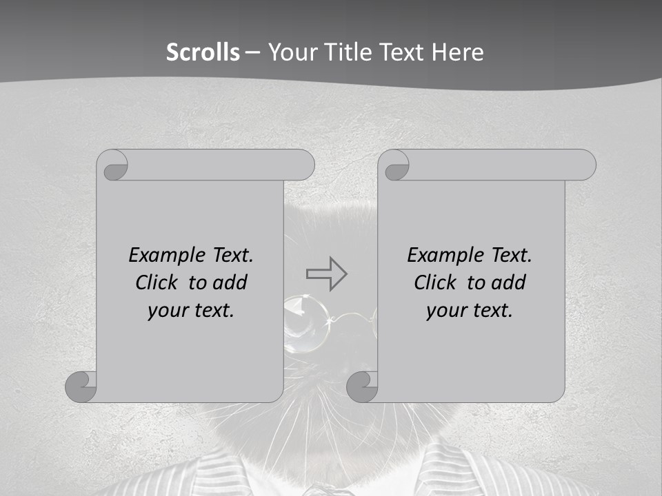 Studio Kitten Feline PowerPoint Template