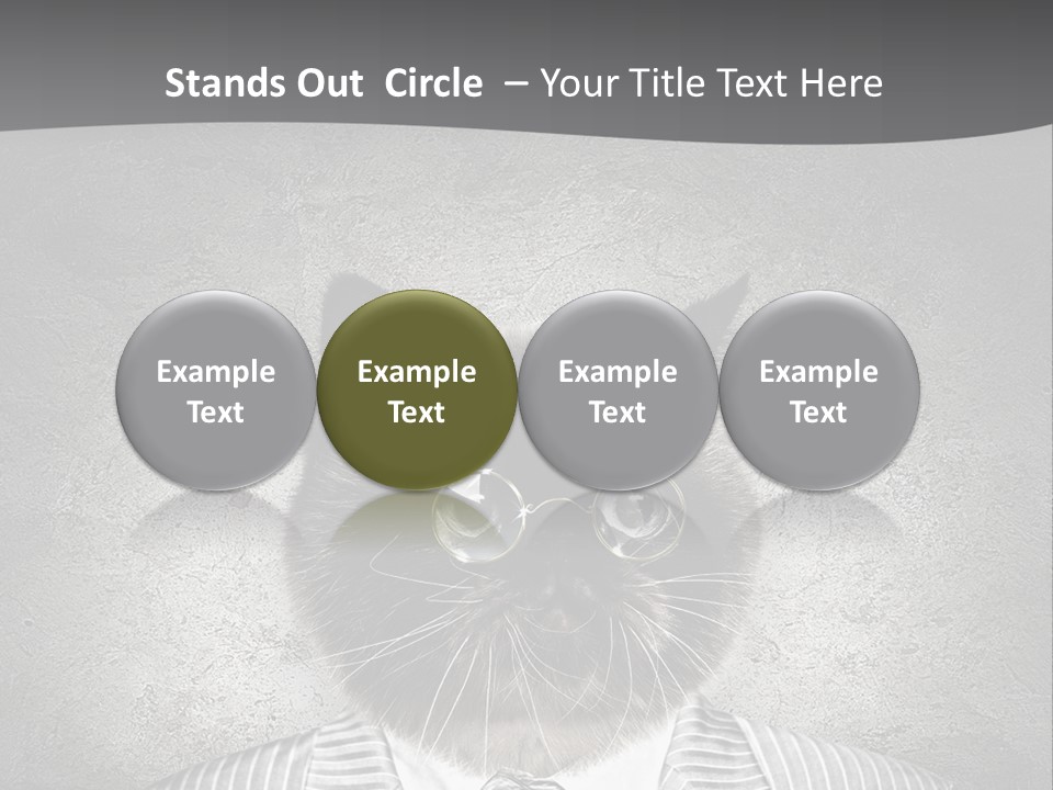 Studio Kitten Feline PowerPoint Template