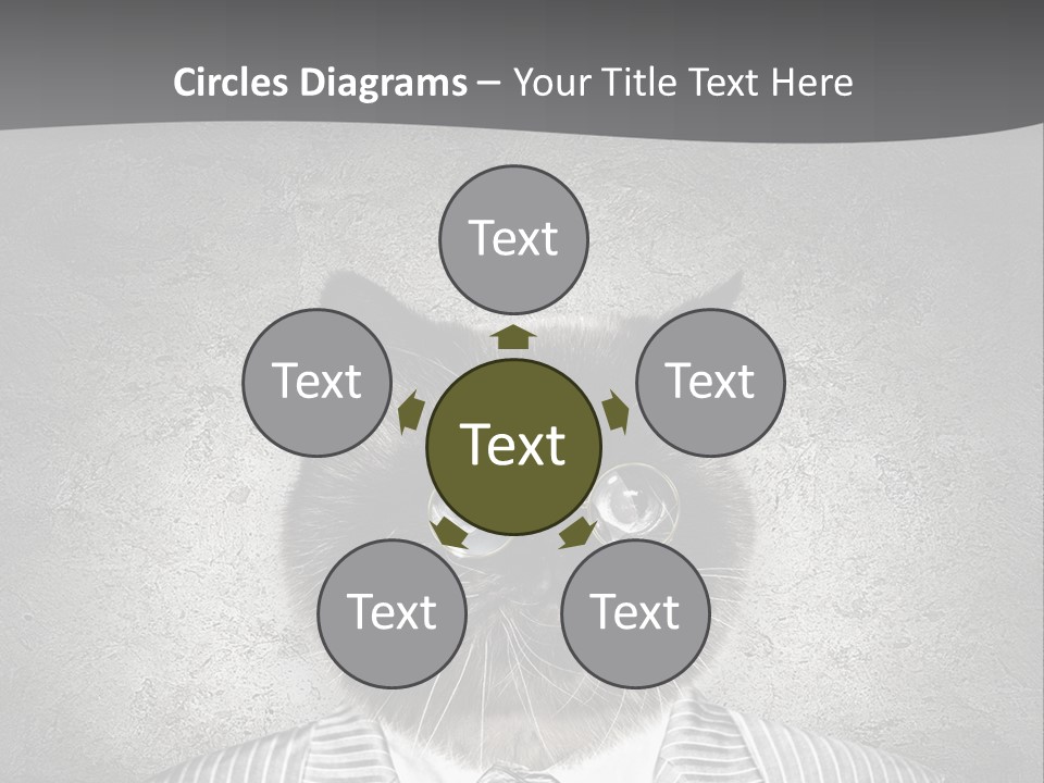 Studio Kitten Feline PowerPoint Template