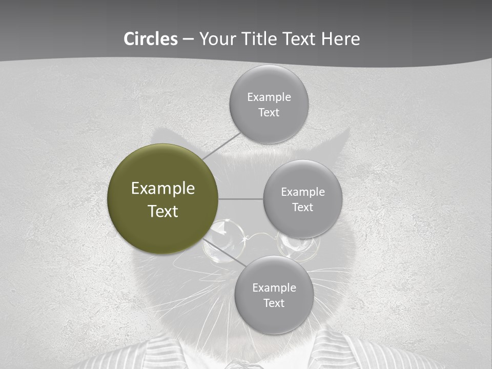 Studio Kitten Feline PowerPoint Template