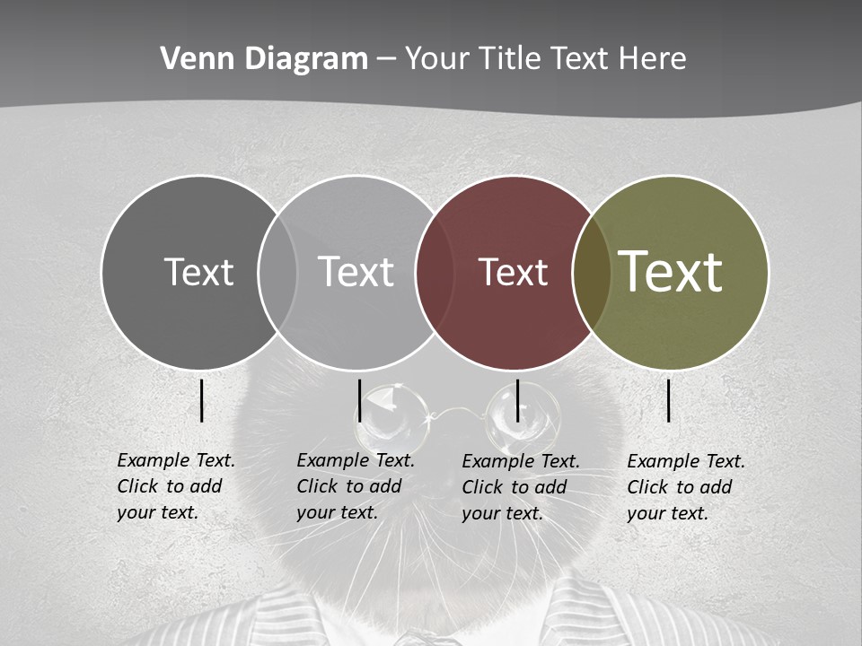 Studio Kitten Feline PowerPoint Template