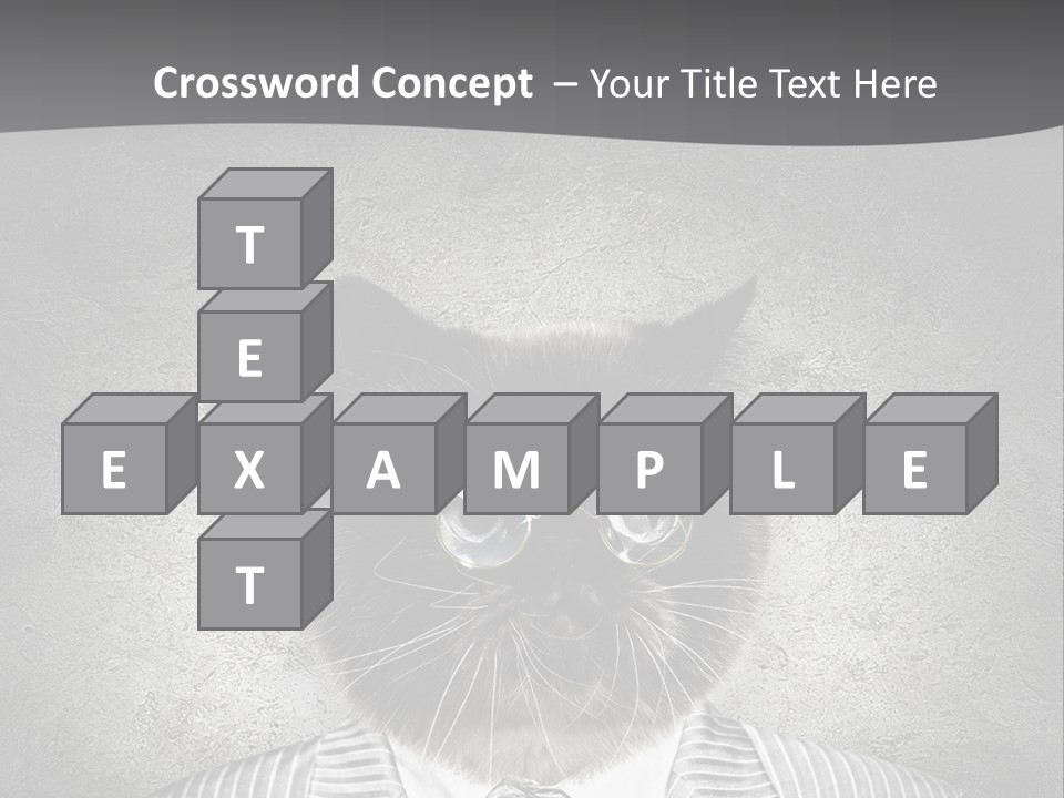 Studio Kitten Feline PowerPoint Template